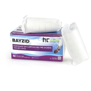 Höfer Chemie 4 x 1 kg Pool Flockungsmittel Kartuschen 32 Stück je 125g BAYZID kristallklares Poolwasser - einfache Anwendung + effektive Wirkung